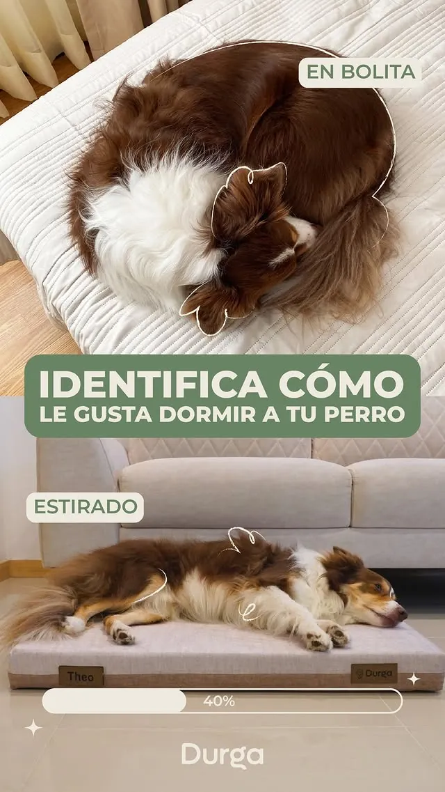 Cama Semiortopédica Durga