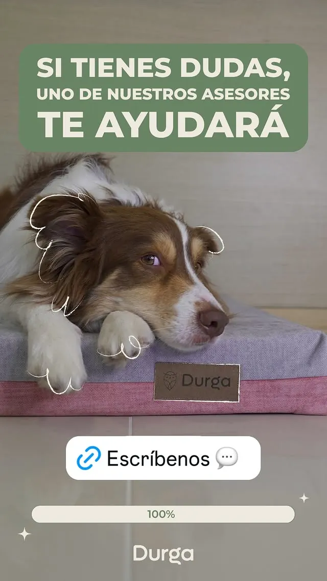 Cama Ortopédica Durga