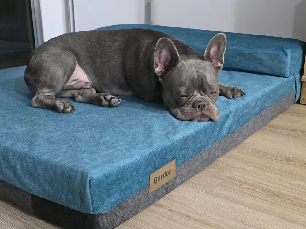 Gordon en su cama con almohada Durga