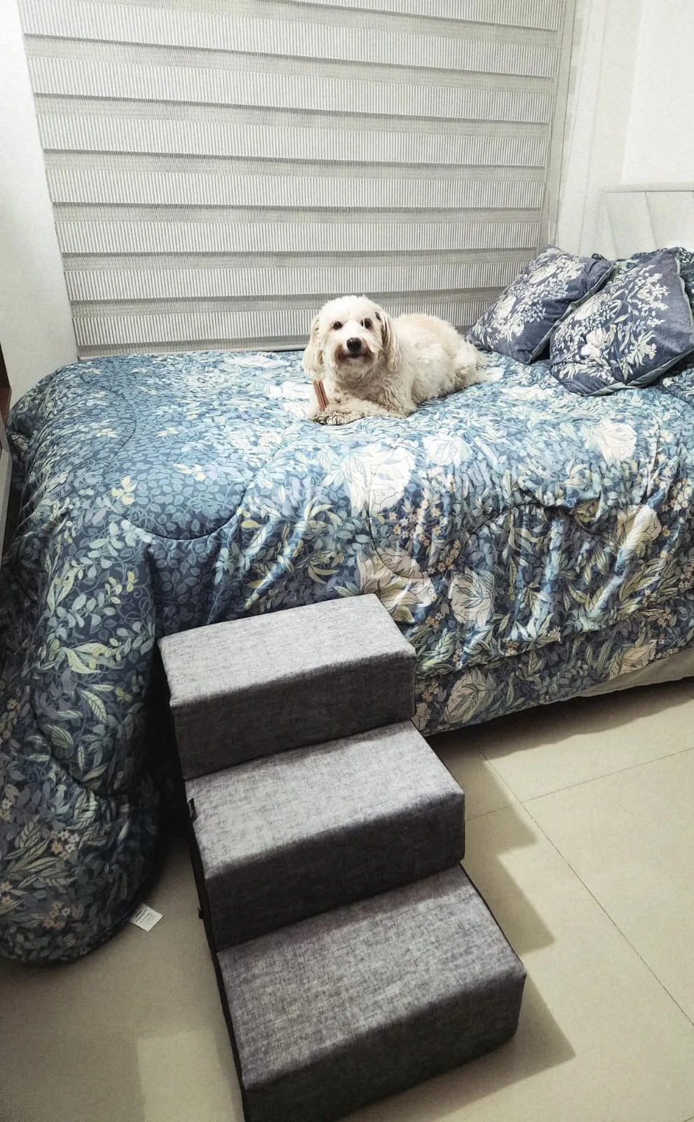 Toby subiendo a la cama con su escalera modular Durga